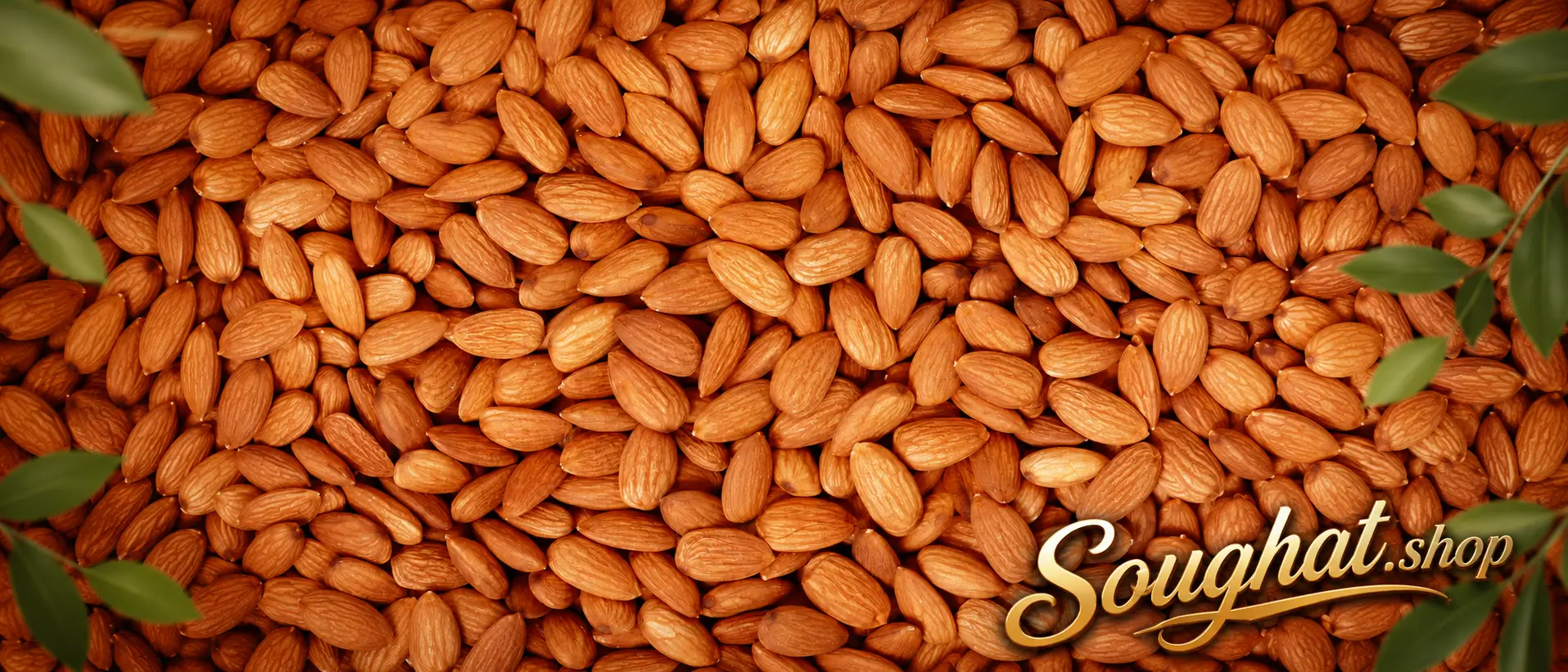 Send Gifts and Organic Almonds to Iran